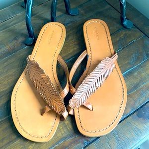 Coach Deni Sandals